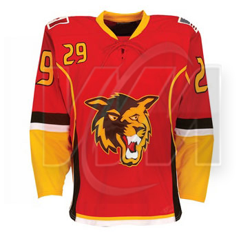 Ice Hockey Jersey