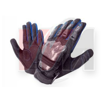 Motorcycle Gloves